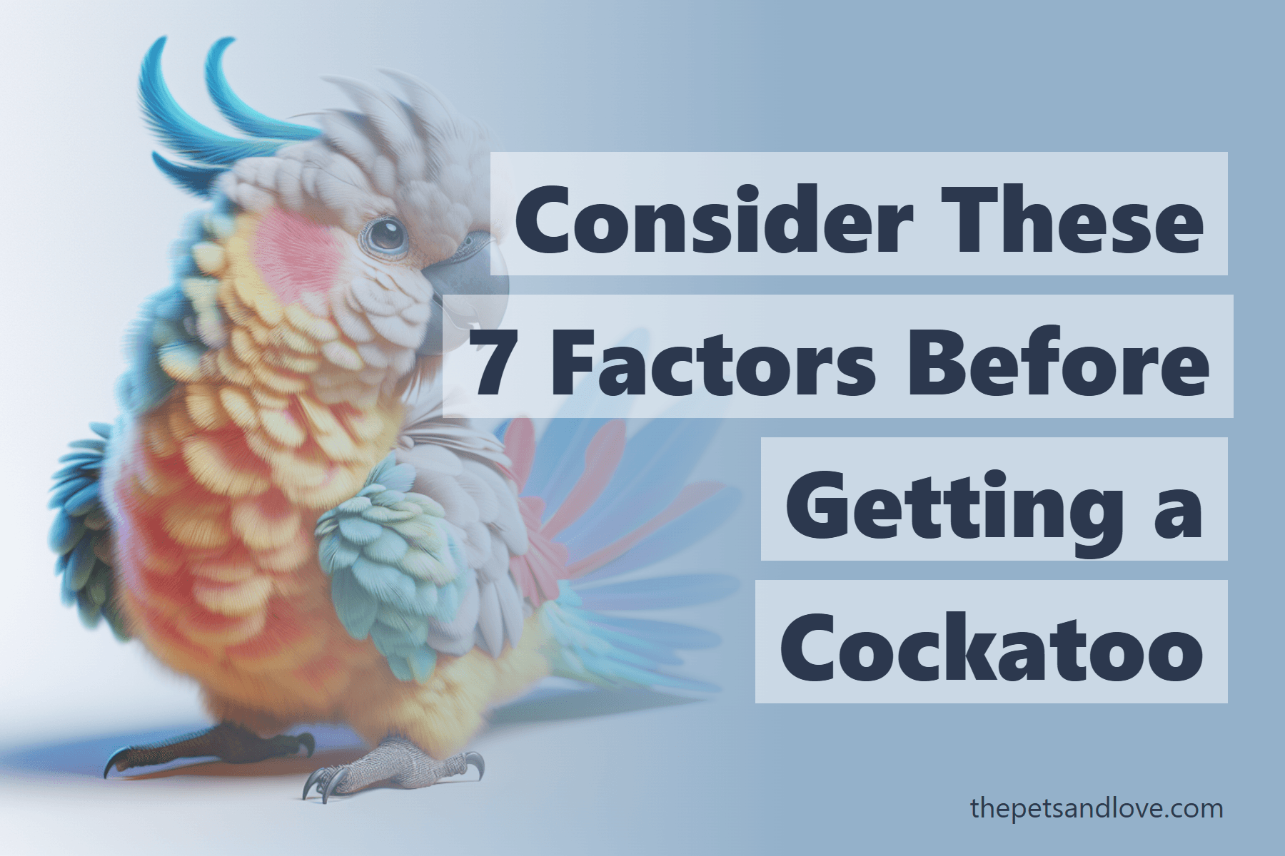 Consider These 7 Factors Before Getting a Cockatoo