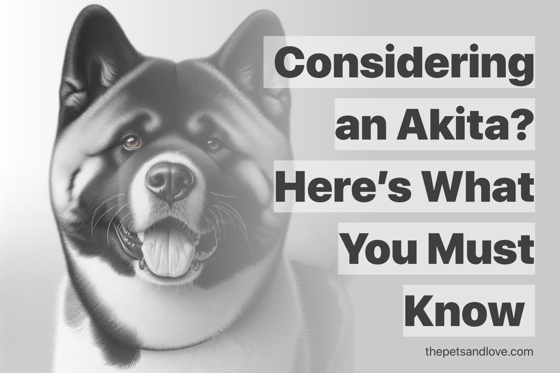 Is the Akita a Good Choice for a Family Pet?