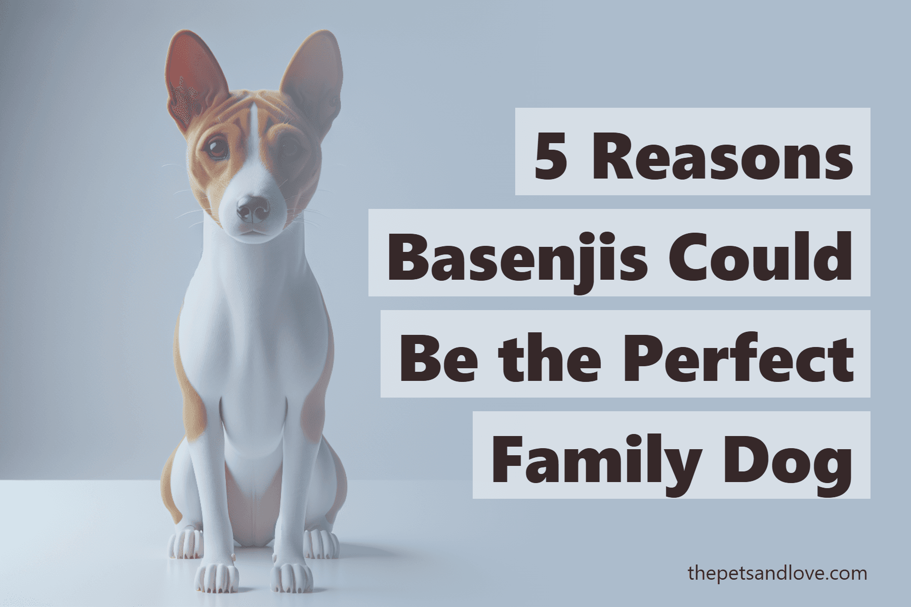 5 Reasons Basenjis Could Be the Perfect Family Dog