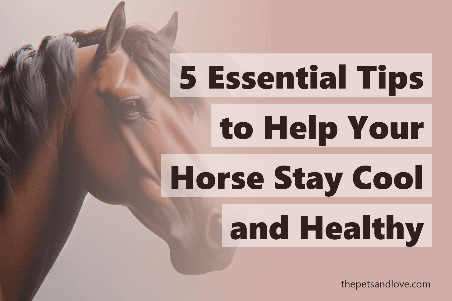 5 Essential Tips to Help Your Horse Stay Cool and Healthy