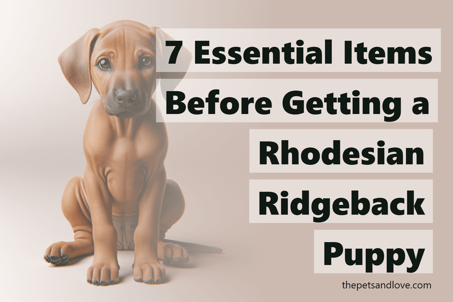 7 Essential Items Before Getting a Rhodesian Ridgeback Puppy