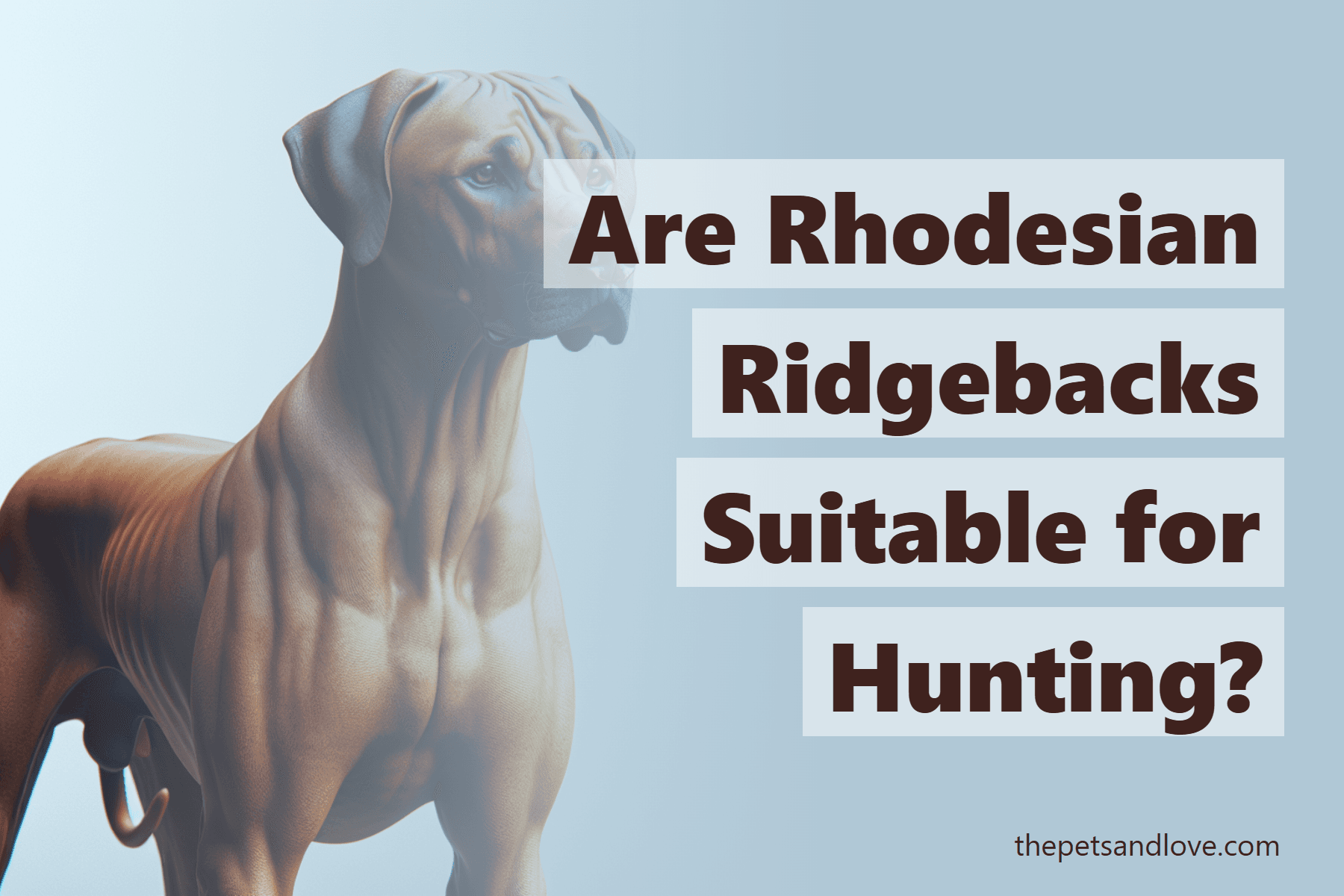 Are Rhodesian Ridgebacks Suitable for Hunting?