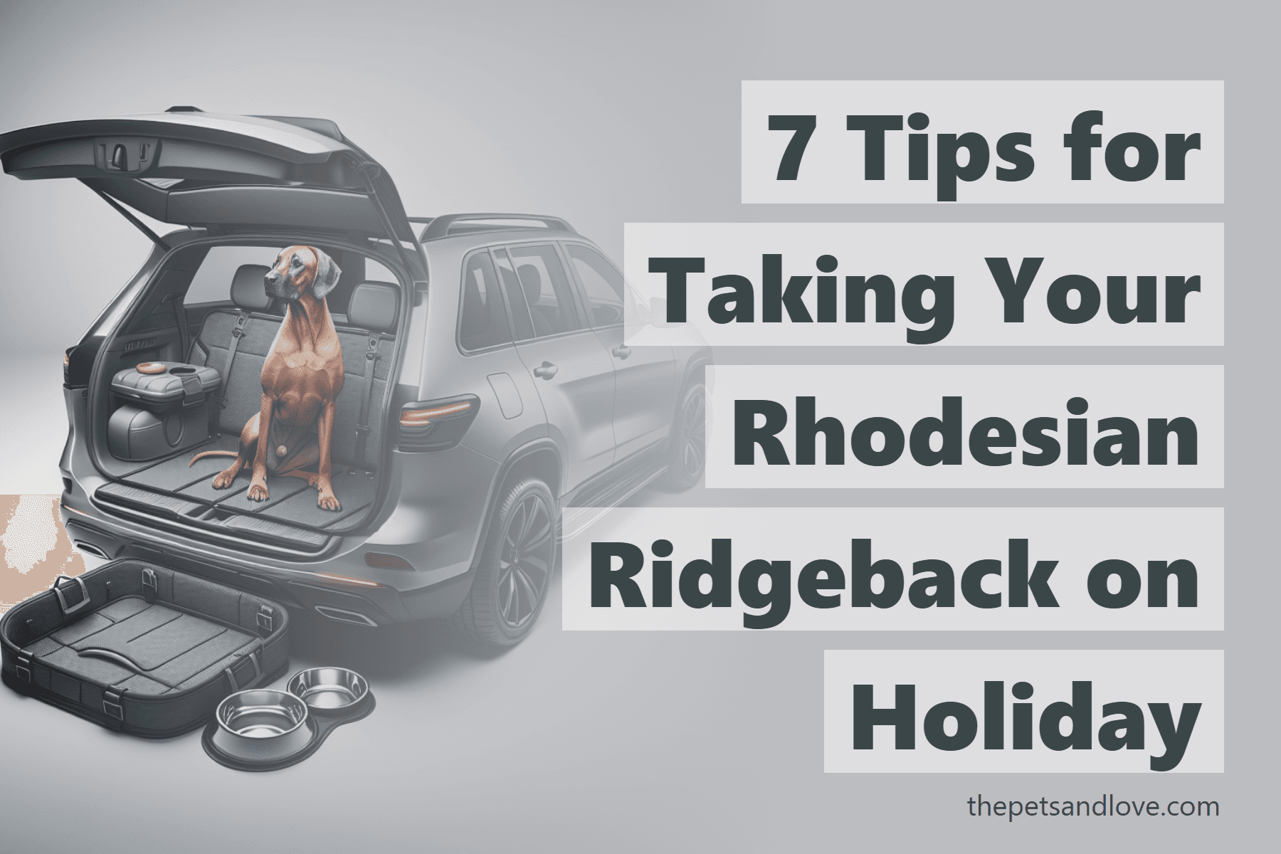 7 Tips for Taking Your Rhodesian Ridgeback on Holiday