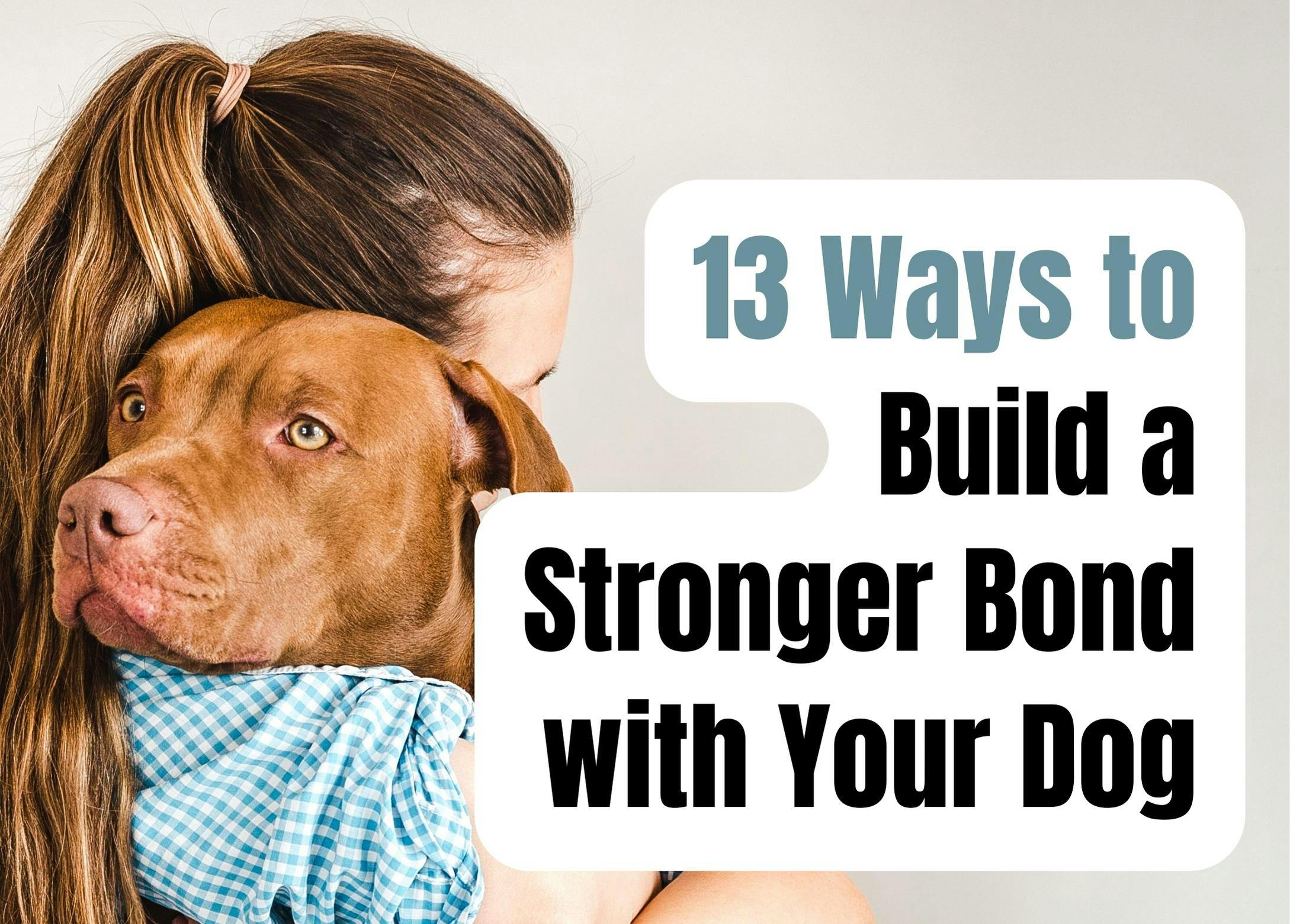 How to Strengthen Your Bond With Your Dog: 13 Tips