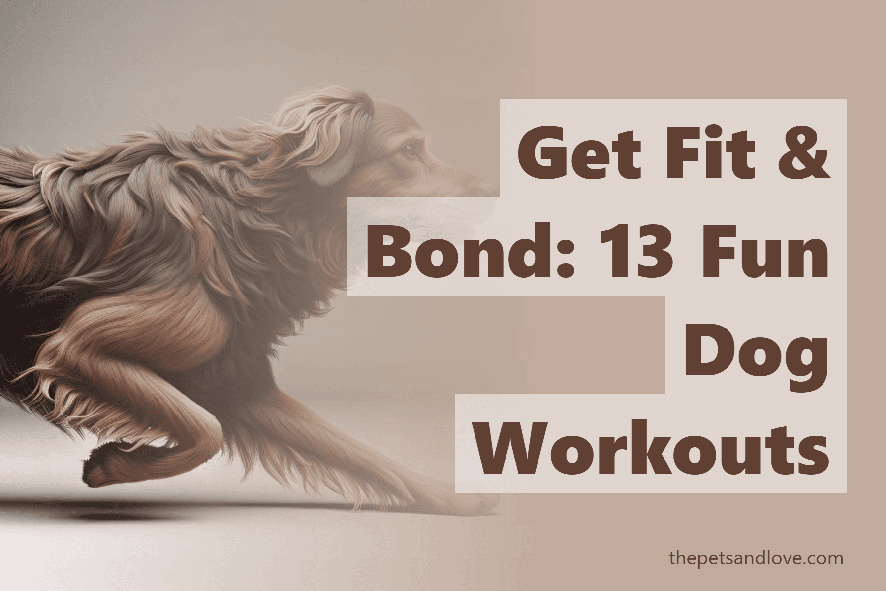 Get Fit & Bond: 13 Fun Dog Workouts