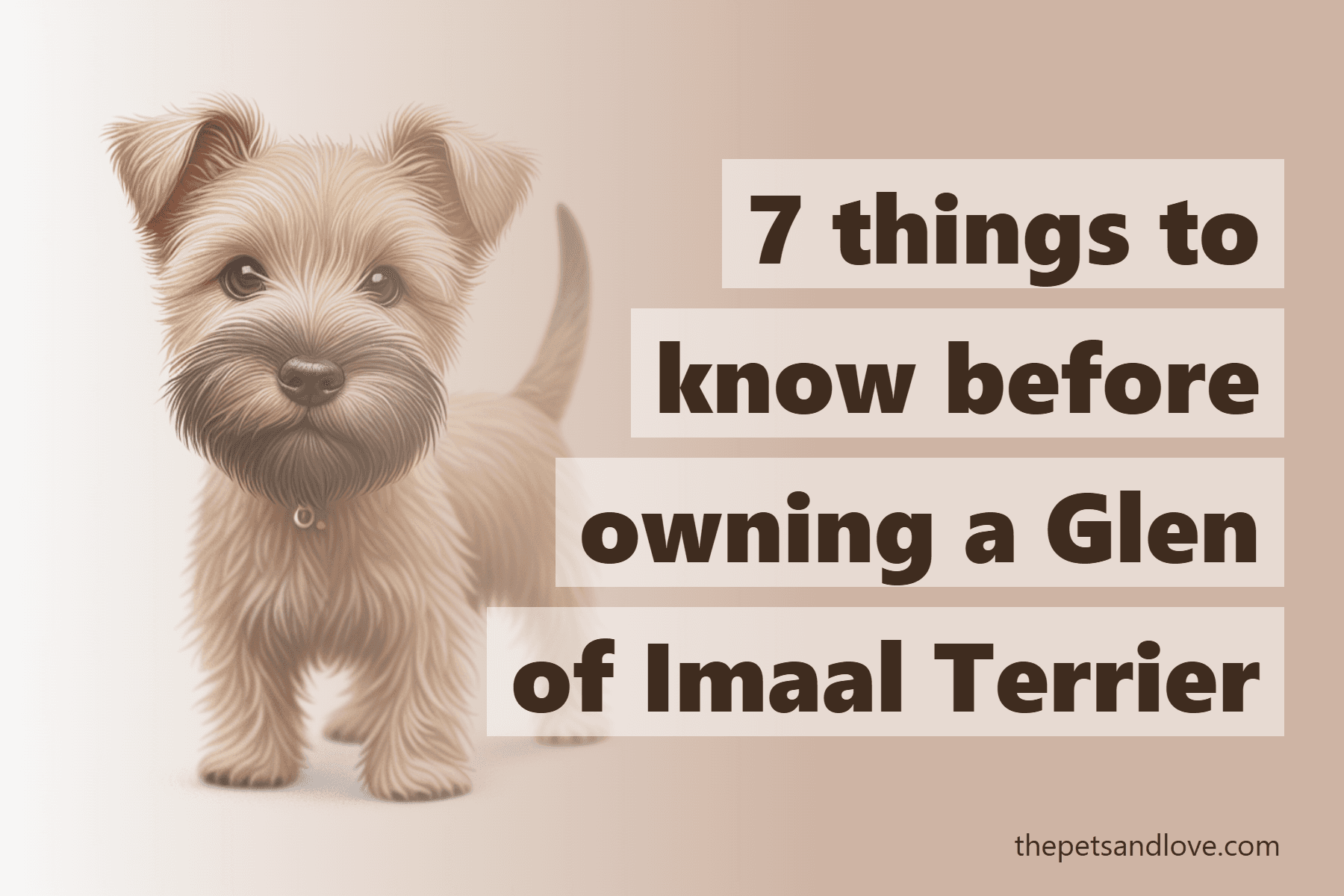 7 things to know before owning a Glen of Imaal Terrier