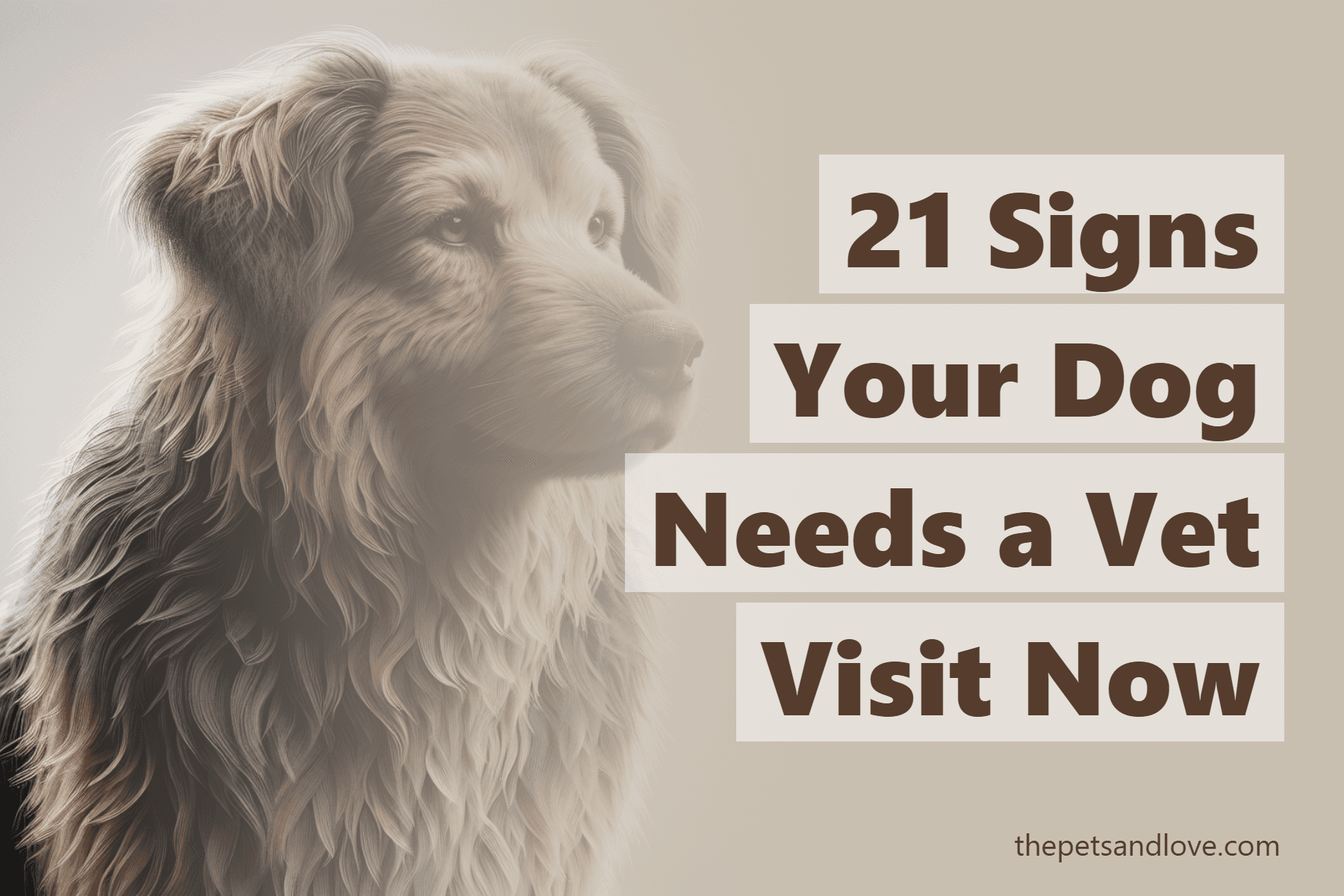 21 Signs Your Dog Needs a Vet Visit Now