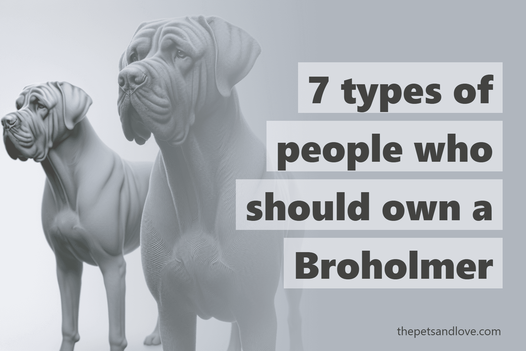 7 types of people who should own a Broholmer