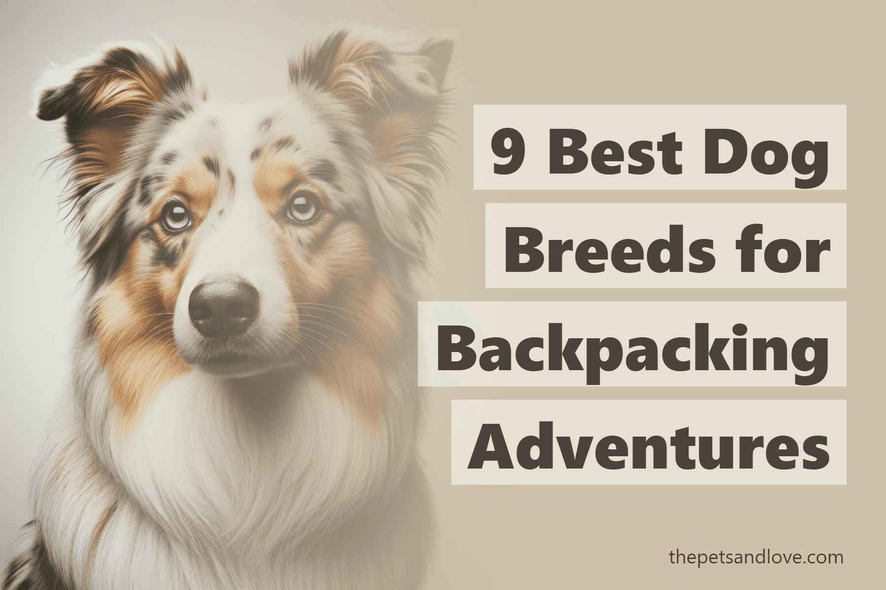 9 Best Dog Breeds for Backpacking Adventures