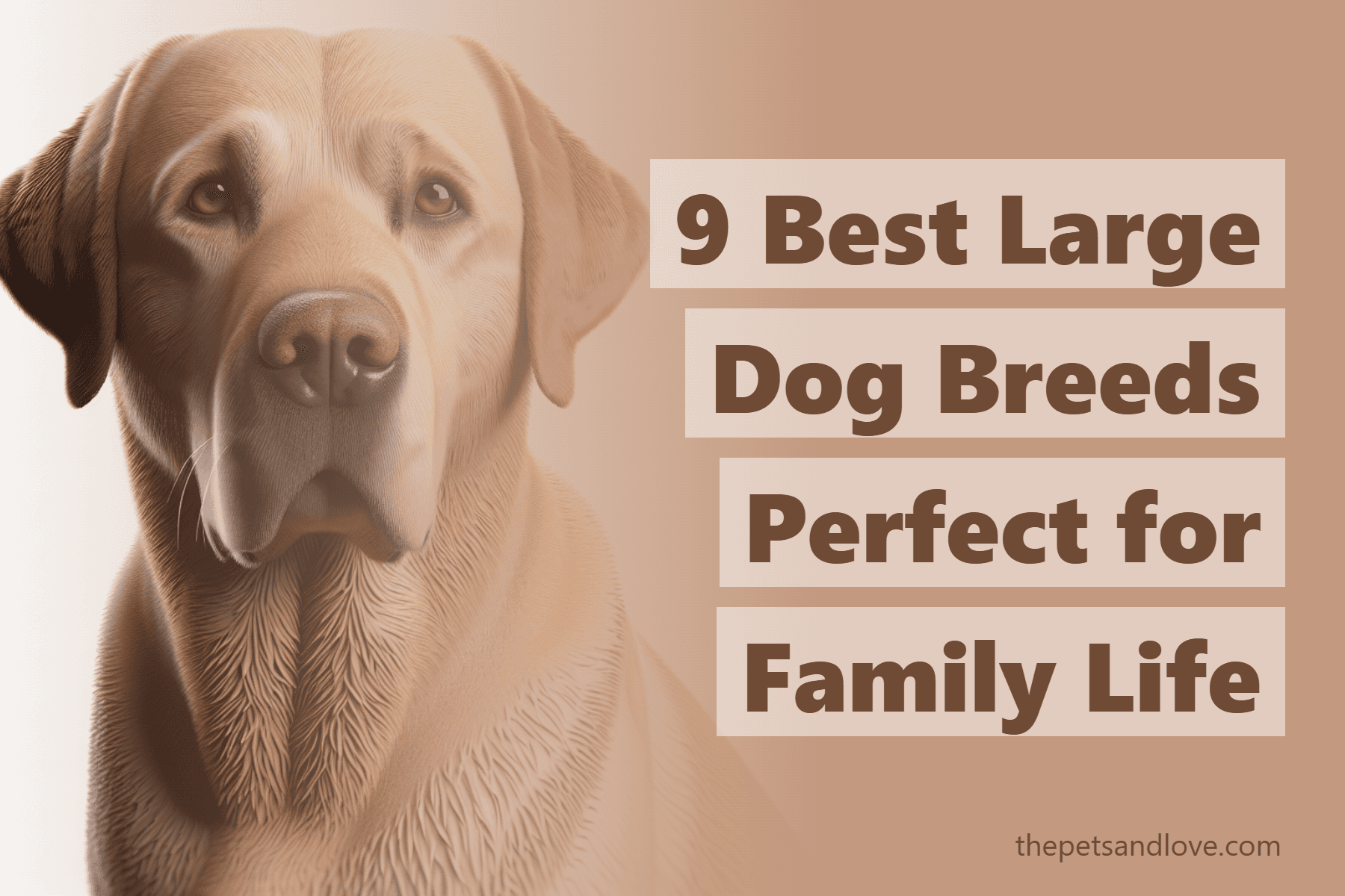 9 Best Large Dog Breeds Perfect for Family Life