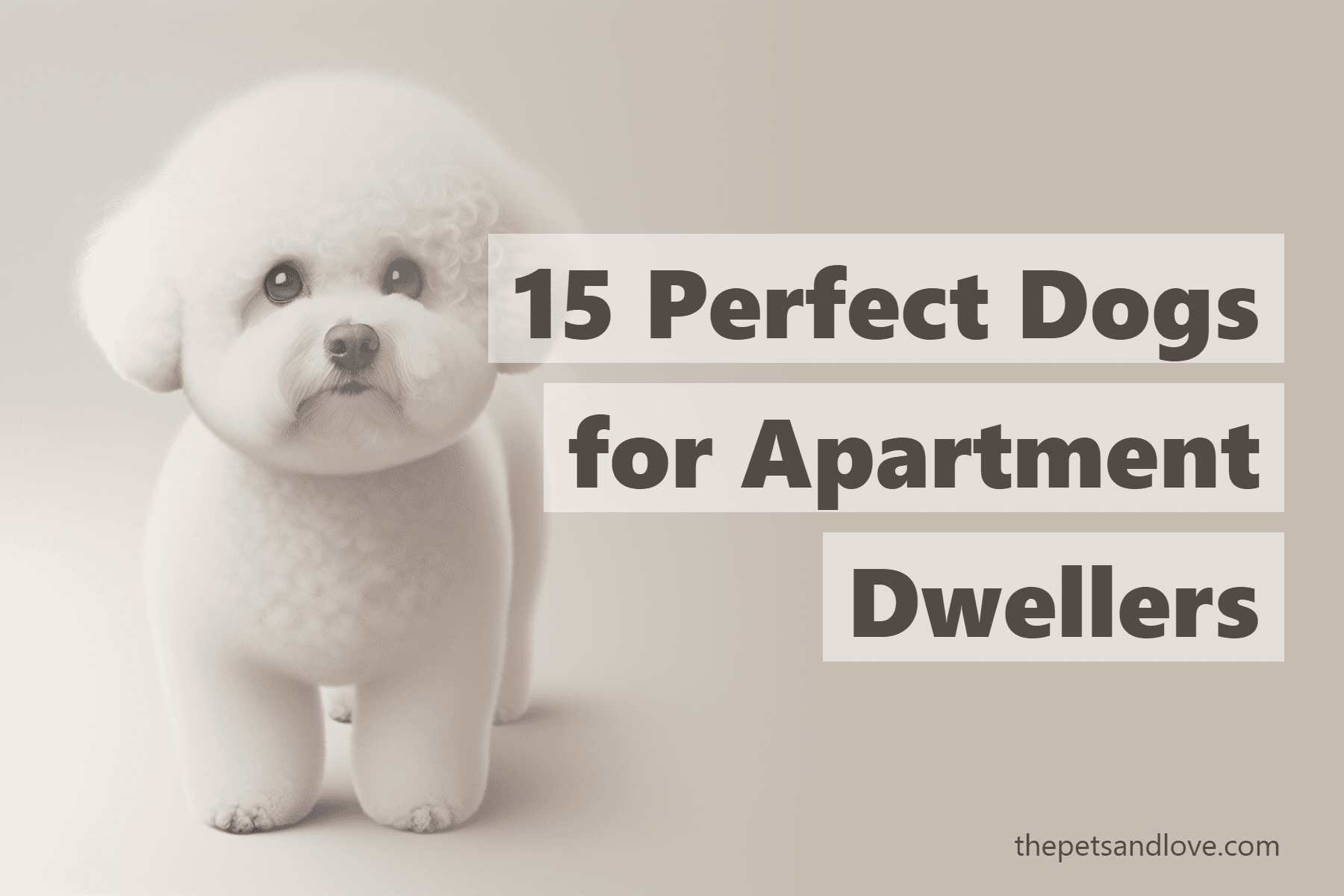 15 Perfect Dogs for Apartment Dwellers