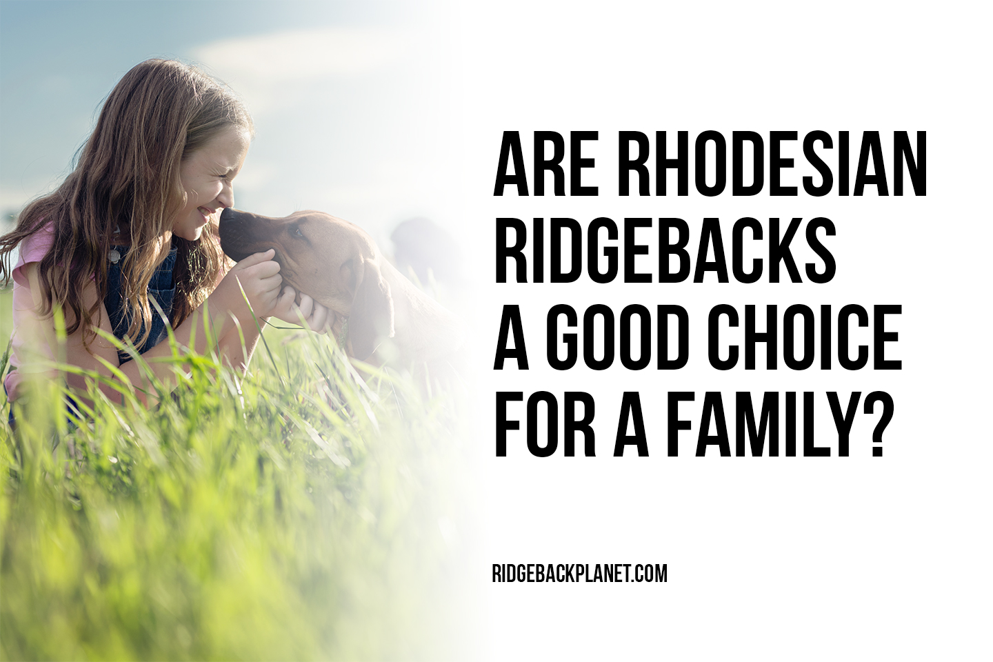 are rhodesian ridgebacks a good choice for a family