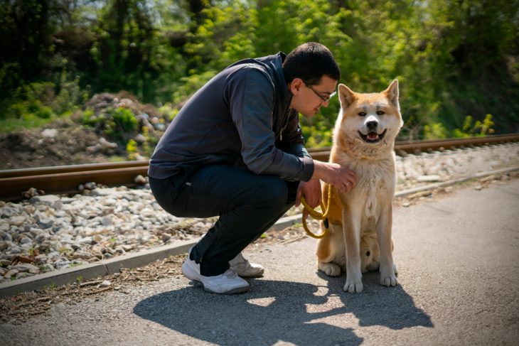 can a akita and a cane paratore be friends