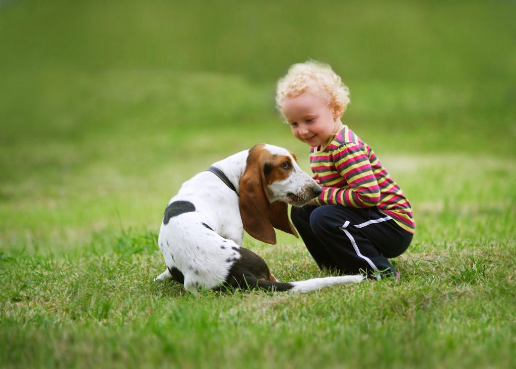 Are Basset Hounds good family dogs? - The Pets and Love