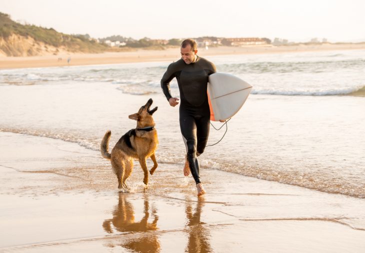 German shepherd running on the beach with his owner